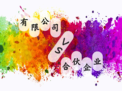 有限公司VS合伙企業(yè)