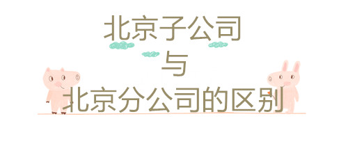 北京子公司和北京分公司的區(qū)別