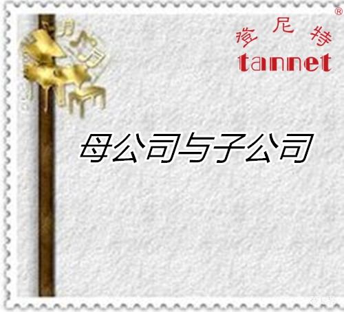 母公司與子公司的區(qū)別