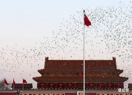 新政策下注冊(cè)北京公司的流程